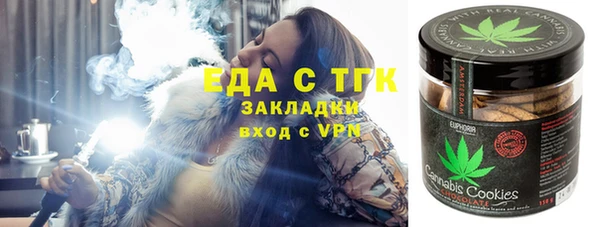 гидра Снежногорск
