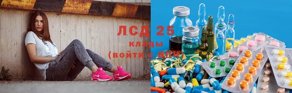 СК Михайловск