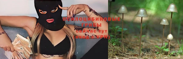 ГАЛЛЮЦИНОГЕННЫЕ ГРИБЫ Михайлов