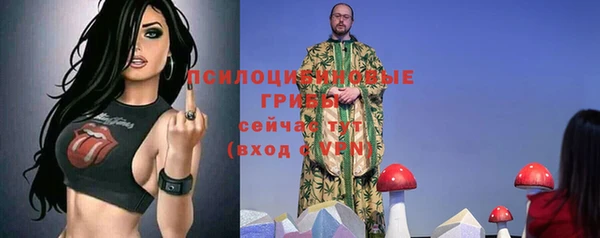 СК Михайловск