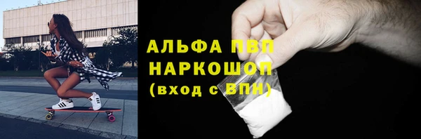 СК Михайловск
