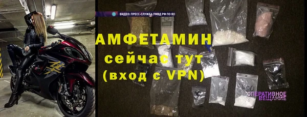 ГАЛЛЮЦИНОГЕННЫЕ ГРИБЫ Михайлов