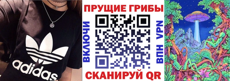 Псилоцибиновые грибы MAGIC MUSHROOMS  купить  цена  Новошахтинск 