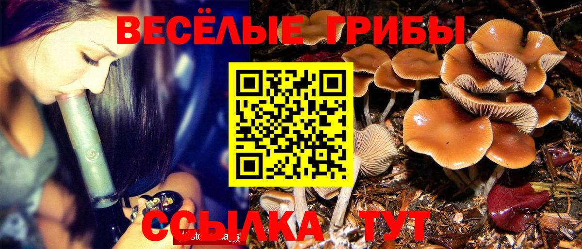 Галлюциногенные грибы ЛСД  Галлюциногенные грибы ЛСД  Вход с VPN  Новошахтинск 