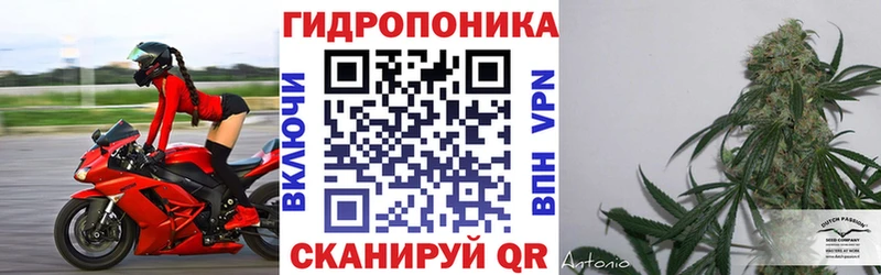 OMG как войти  Новошахтинск  Бошки Шишки MAZAR  наркотики 